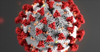 corona virus image
